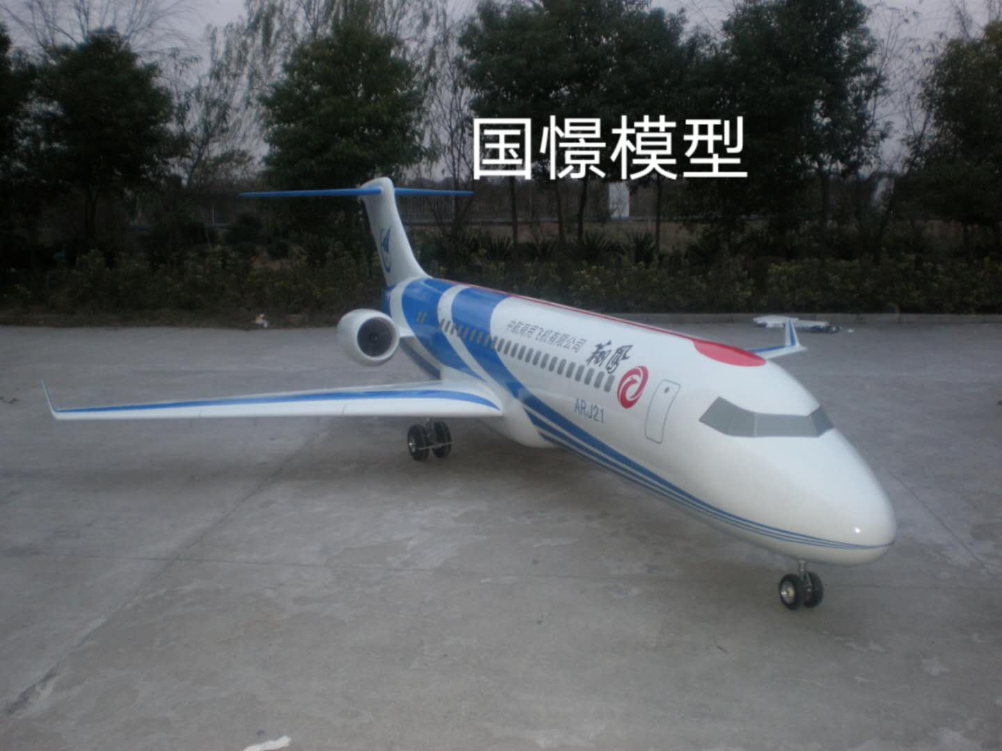 新野县飞机模型